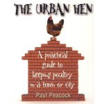 the_urban_hen