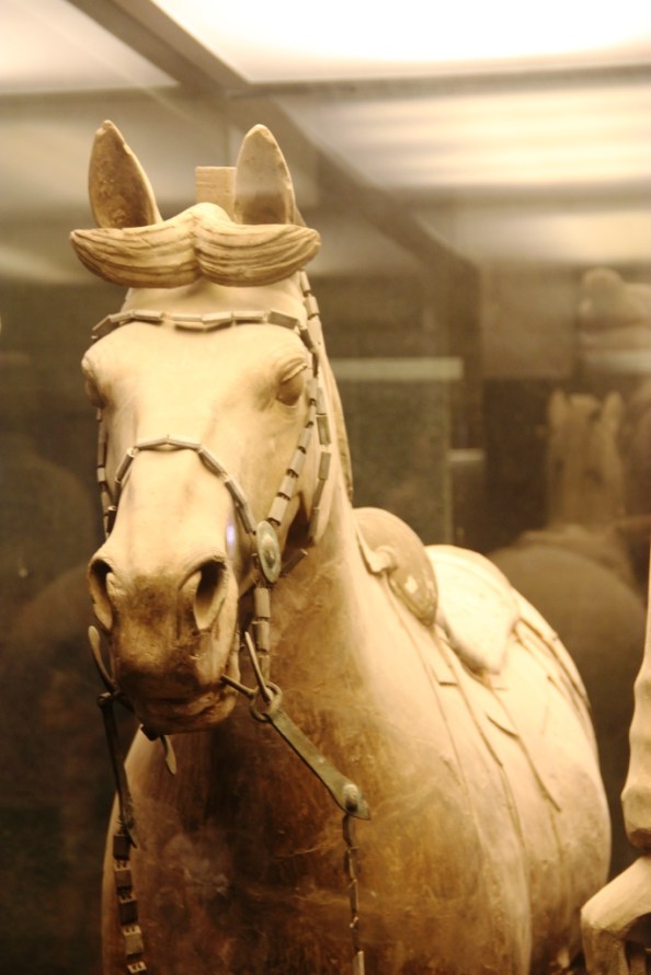 Terracotta Warriors Horse