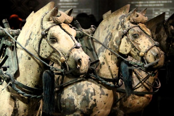 Terracotta Warriors Horses close crop