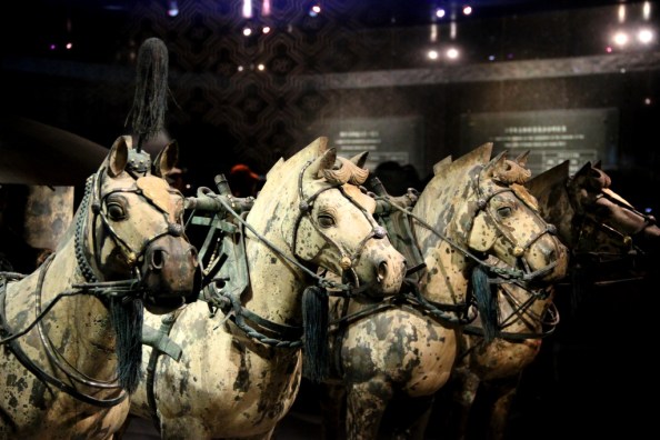 Terracotta Warriors Horses